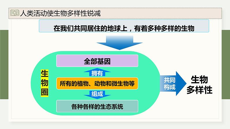 4.3保护生物多样性意义重大（教学课件）——高中生物学浙科版（2019）选择性必修二05