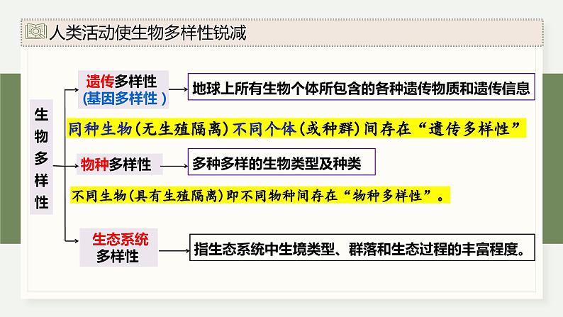 4.3保护生物多样性意义重大（教学课件）——高中生物学浙科版（2019）选择性必修二06