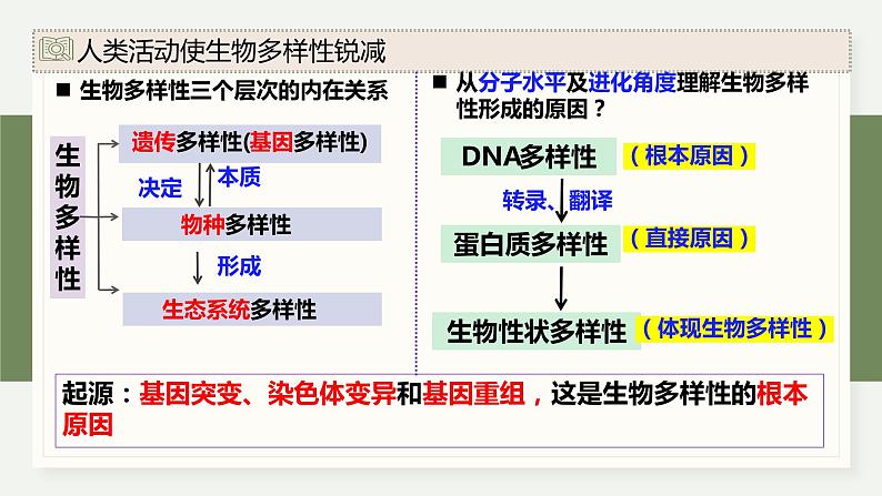 4.3保护生物多样性意义重大（教学课件）——高中生物学浙科版（2019）选择性必修二07