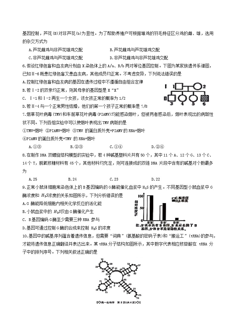 吉林省吉林市八校2023-2024学年高一下学期7月期末考试生物试卷（Word版附答案）02
