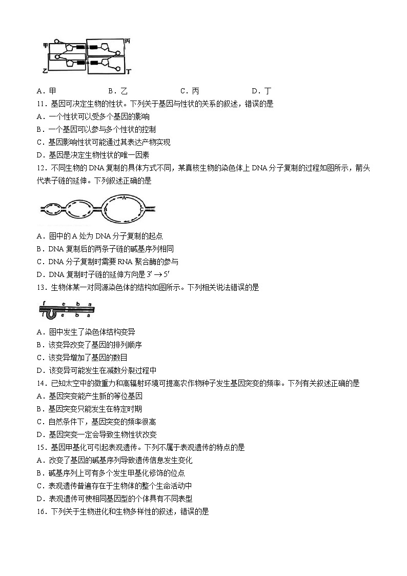 甘肃省普通高中2023-2024学年高一下学期期末教学质量统一检测生物试题03