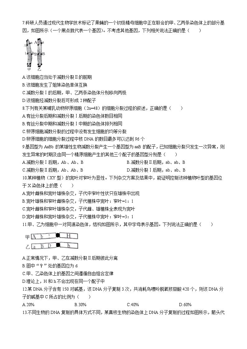 新疆维吾尔自治区部分名校2023-2024学年高一下学期期末联考生物试题第2页