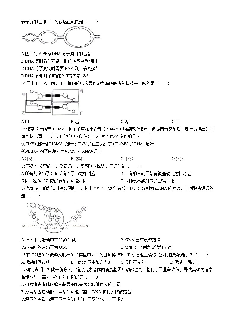 新疆维吾尔自治区部分名校2023-2024学年高一下学期期末联考生物试题第3页
