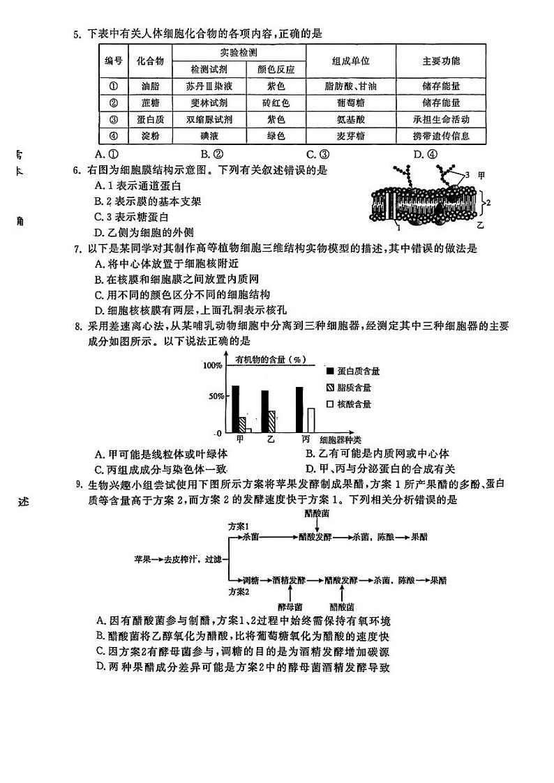 河南省开封市2023-2024学年高二下学期7月期末生物试题02