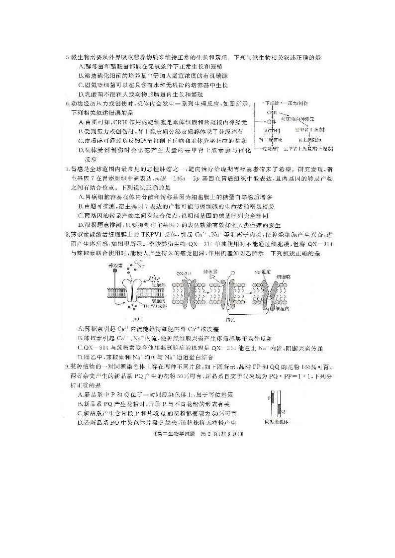 湖南省天壹大联考2023-2024年下学期高二期末联考生物试题+答案02