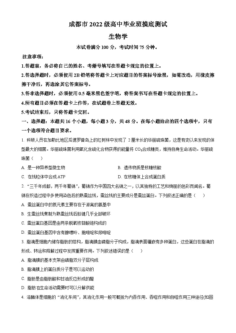 2024成都高二下学期7月期末考试生物含解析01