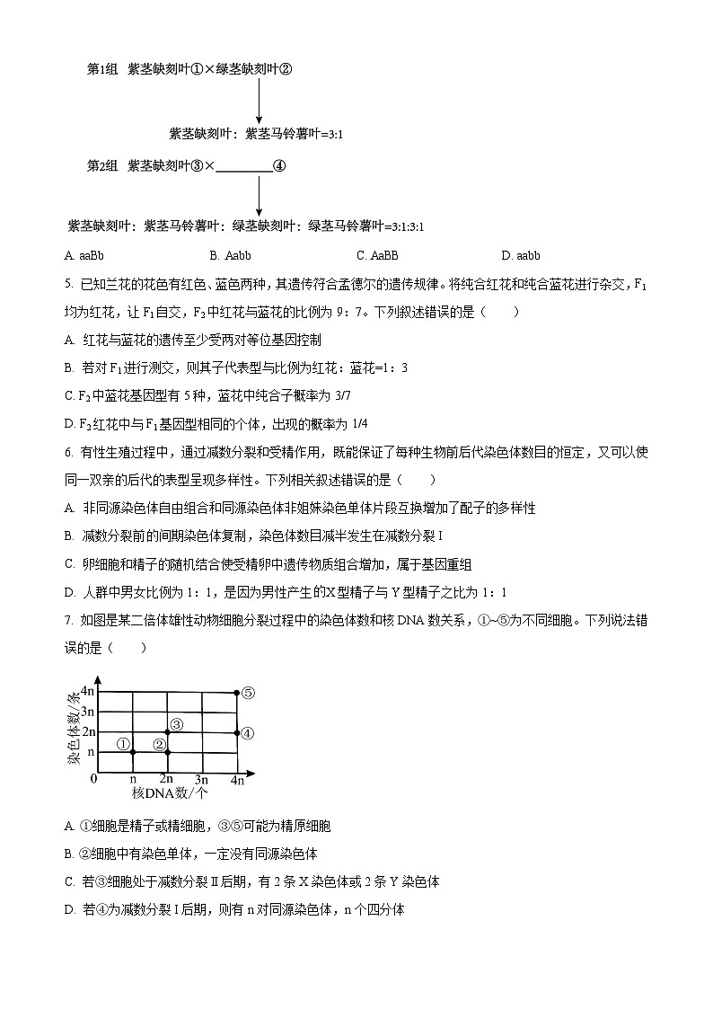 2024三门峡高一下学期7月期末考试生物含解析02