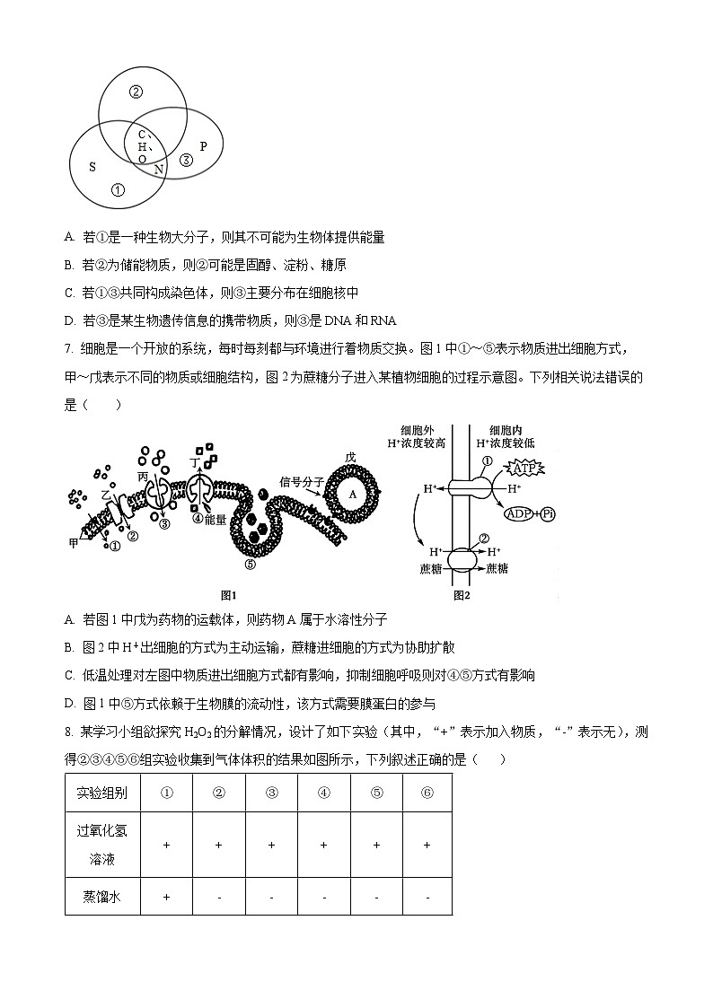 2024保定部分高中高一下学期7月期末考试生物含解析03