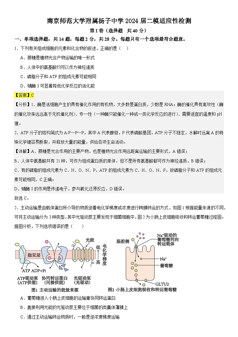 2024届江苏省南京师范大学附属扬子中学高三下学期二模适应性检测生物试题01