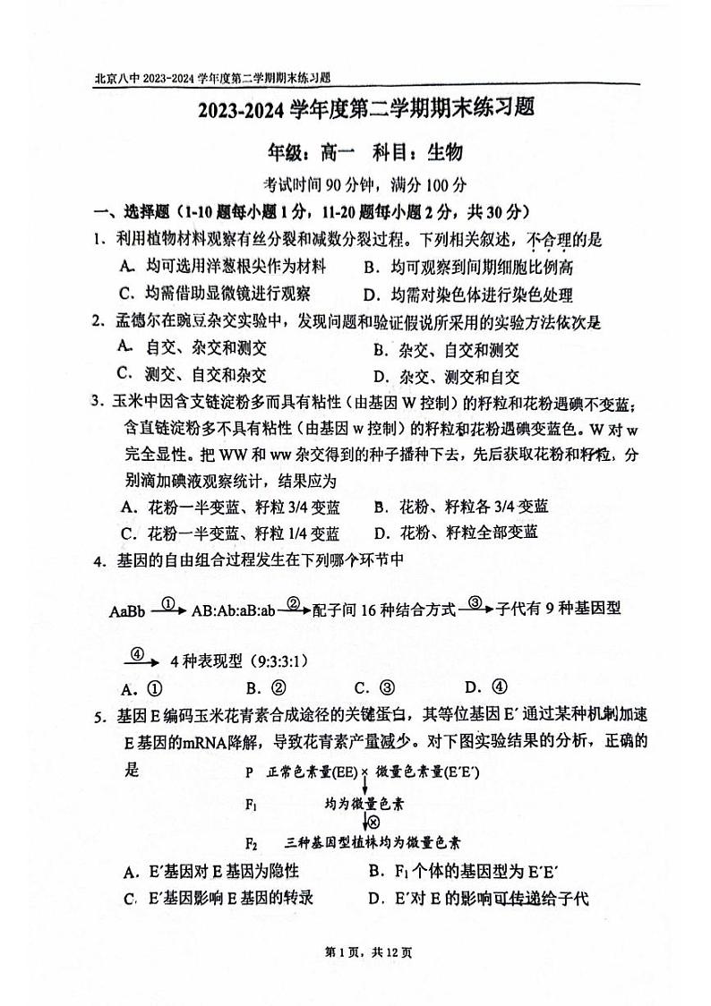 北京市西城区北京市第八中学2023-2024学年高一下学期期末考试生物试题01