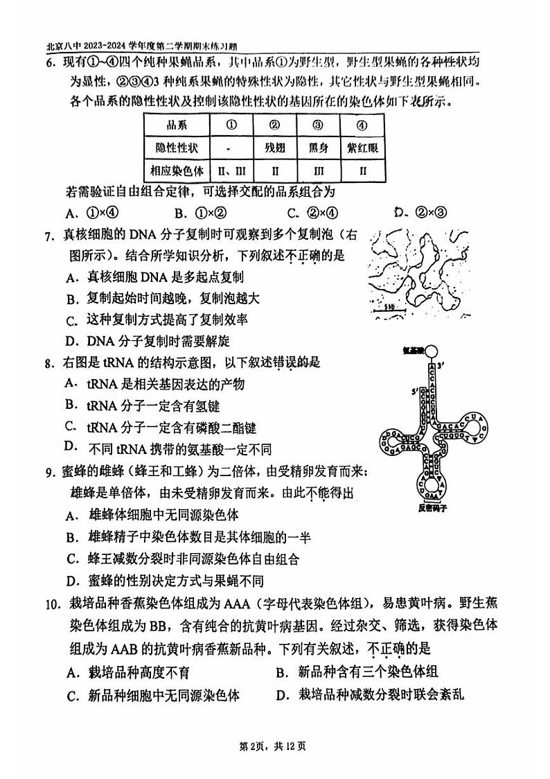 北京市西城区北京市第八中学2023-2024学年高一下学期期末考试生物试题02