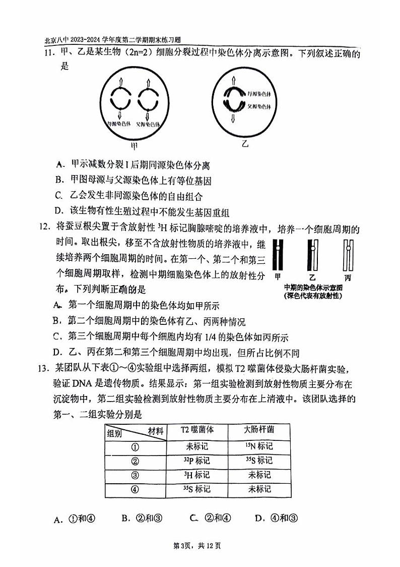 北京市西城区北京市第八中学2023-2024学年高一下学期期末考试生物试题03