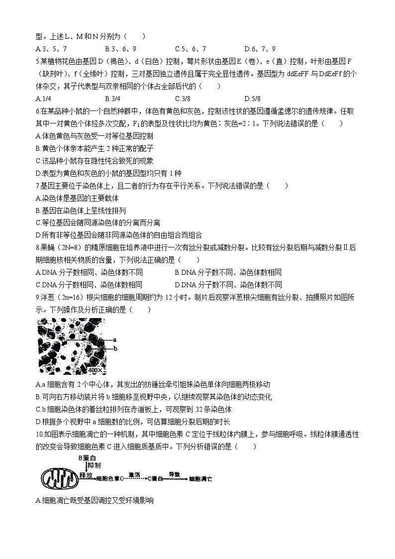 山东省青岛杜威实验学校2022-2023学年高一下学期期中生物试题02