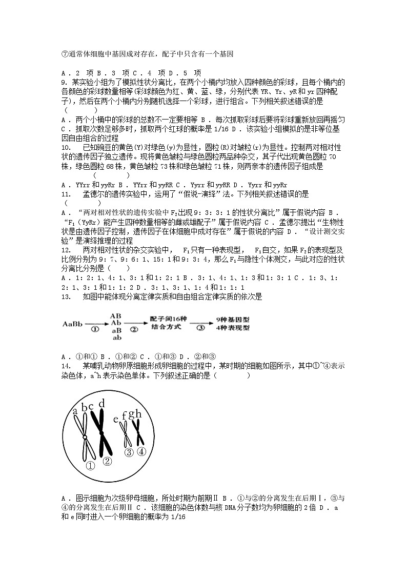 [生物]四川省仁寿第一名校(北校区)2023-2024学年高一下学期4月月考生物试题第2页