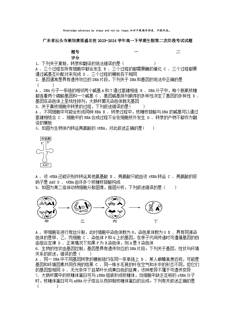 [生物]广东省汕头市潮阳黄图盛名校2023-2024学年高一下学期生物月考第二次阶段考试试题第1页
