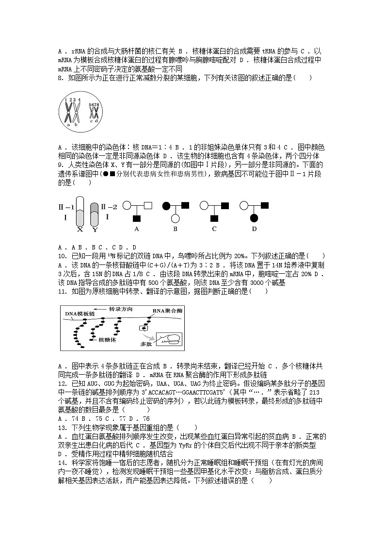 [生物]广东省汕头市潮阳黄图盛名校2023-2024学年高一下学期生物月考第二次阶段考试试题第2页