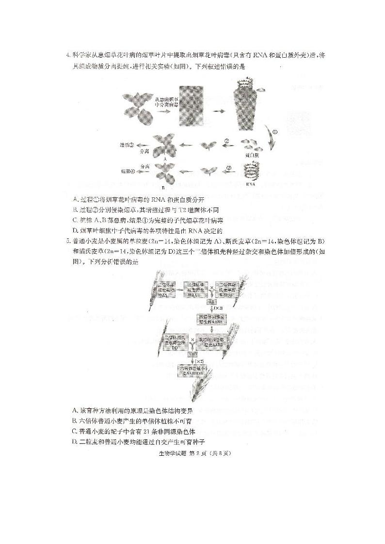 生物-湖南省名校联考联合体2024届高考考前仿真联考联评试题和答案第2页