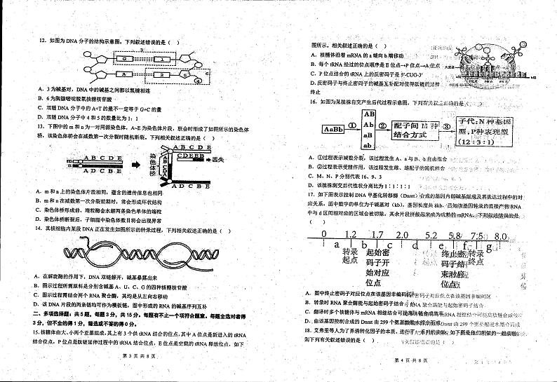 江苏省淮安市楚州中学、新马中学2023-2024学年高一下学期期中考试生物试题第2页