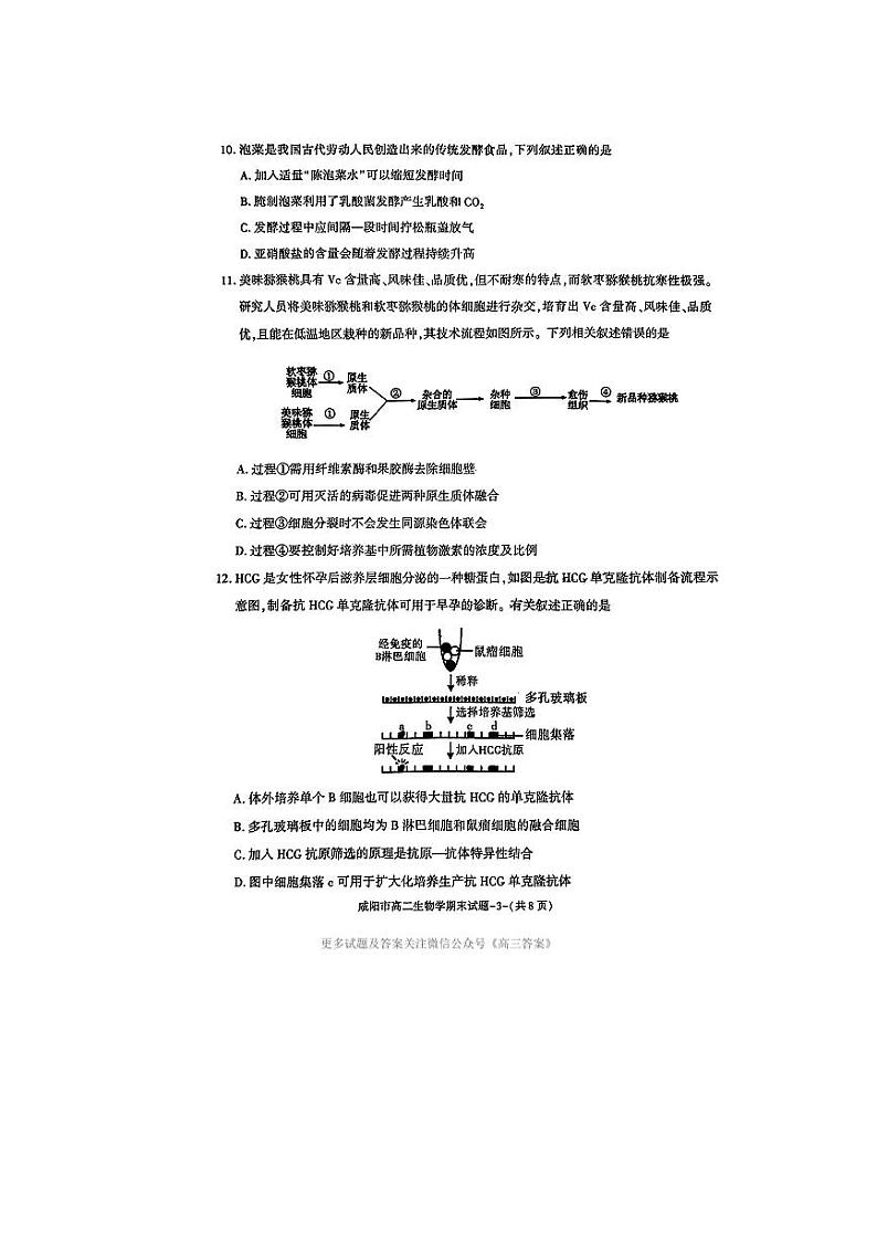 陕西省咸阳市2023-2024学年高二下学期期末考试生物试题03