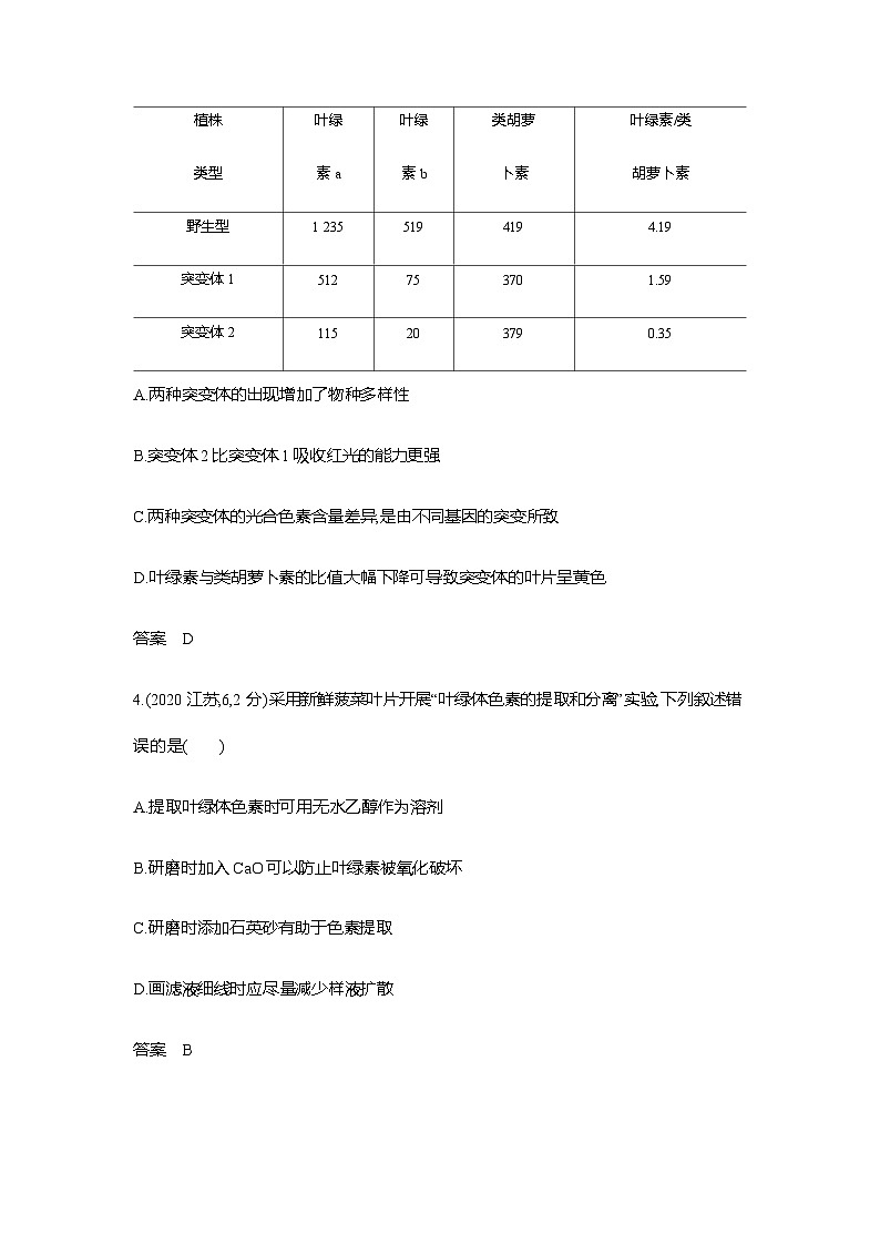 新高考生物总复习专题6光合作用练习含答案02
