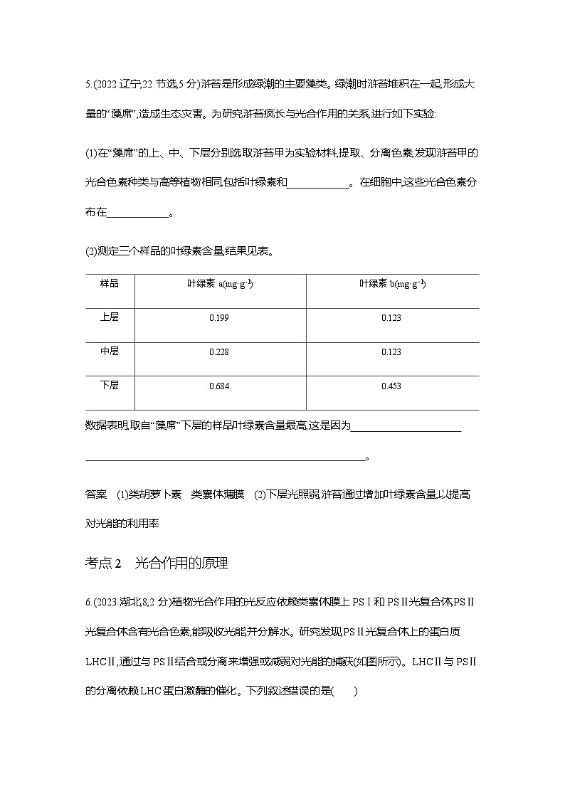 新高考生物总复习专题6光合作用练习含答案03