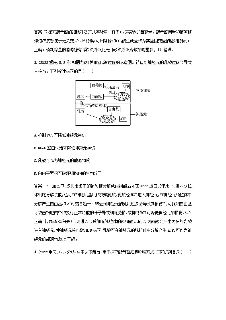 10年高考生物真题专题分类5细胞呼吸练习含答案02