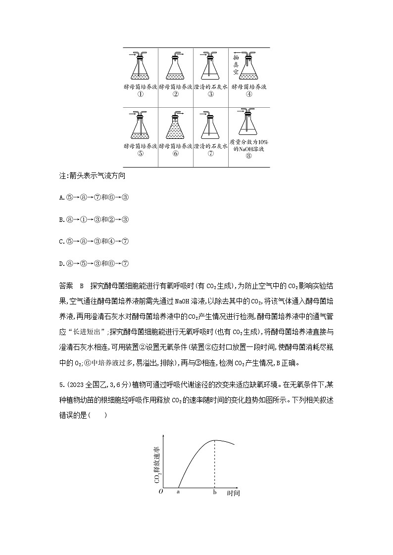 10年高考生物真题专题分类5细胞呼吸练习含答案03