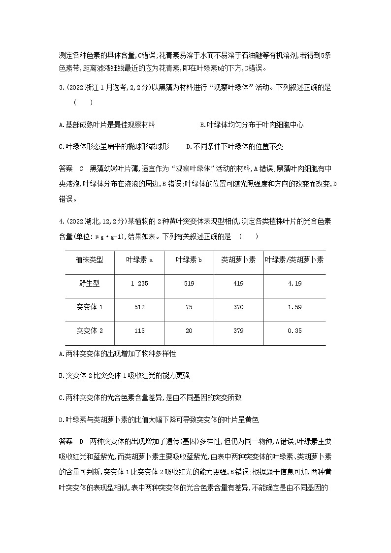 10年高考生物真题专题分类6光合作用练习含答案02