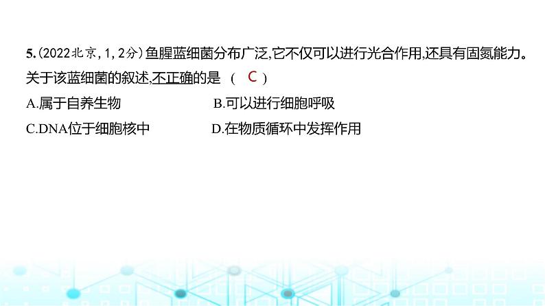 新高考生物总复习专题2细胞的结构与功能练习课件06