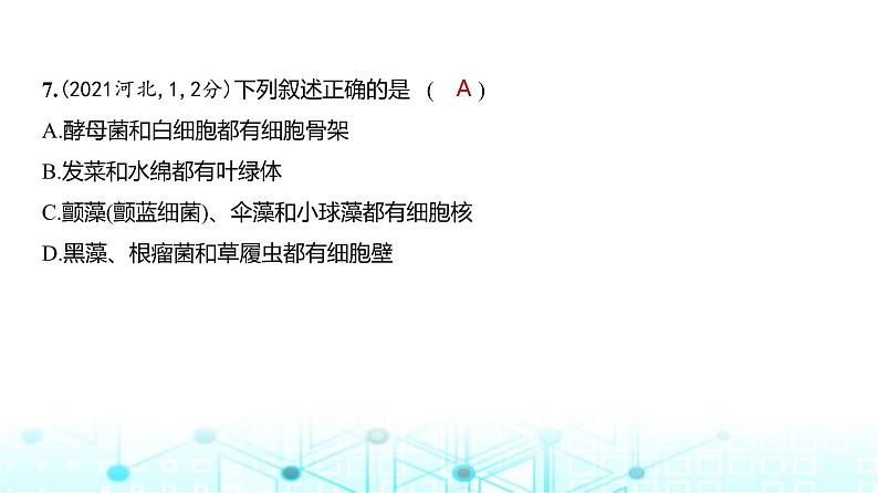 新高考生物总复习专题2细胞的结构与功能练习课件08