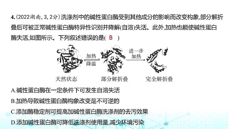 新高考生物总复习专题4酶与ATP练习课件05