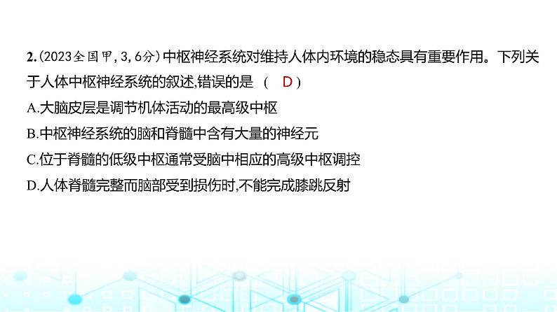 新高考生物总复习专题13神经调节练习课件第3页