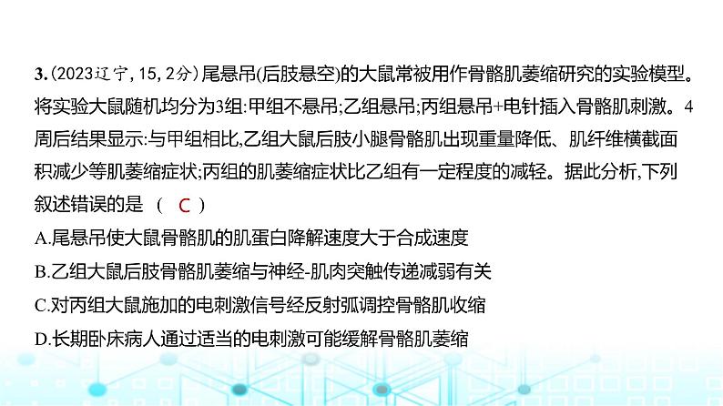 新高考生物总复习专题13神经调节练习课件第4页