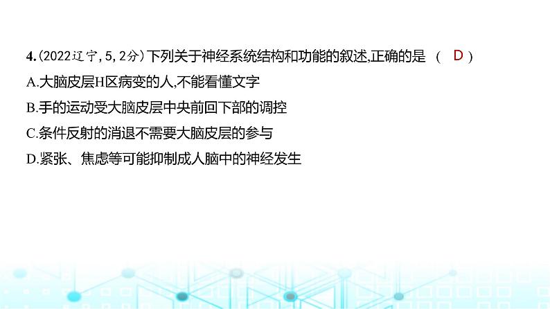 新高考生物总复习专题13神经调节练习课件第5页