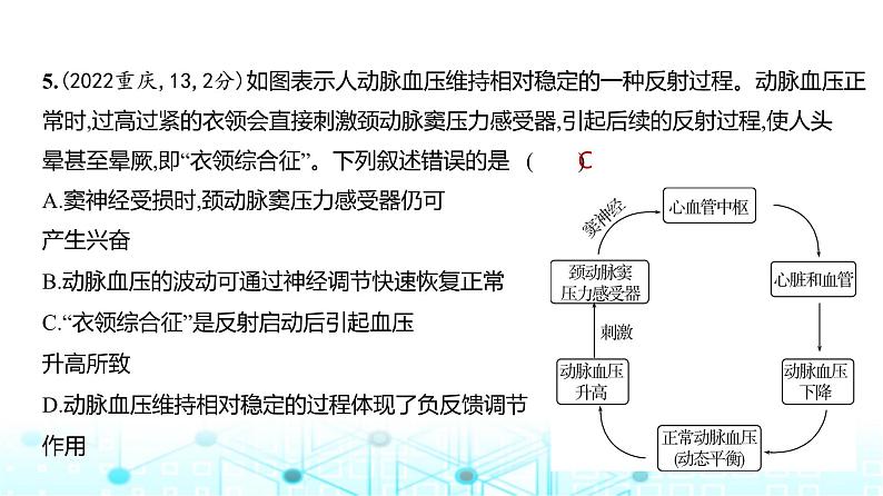 新高考生物总复习专题13神经调节练习课件第6页