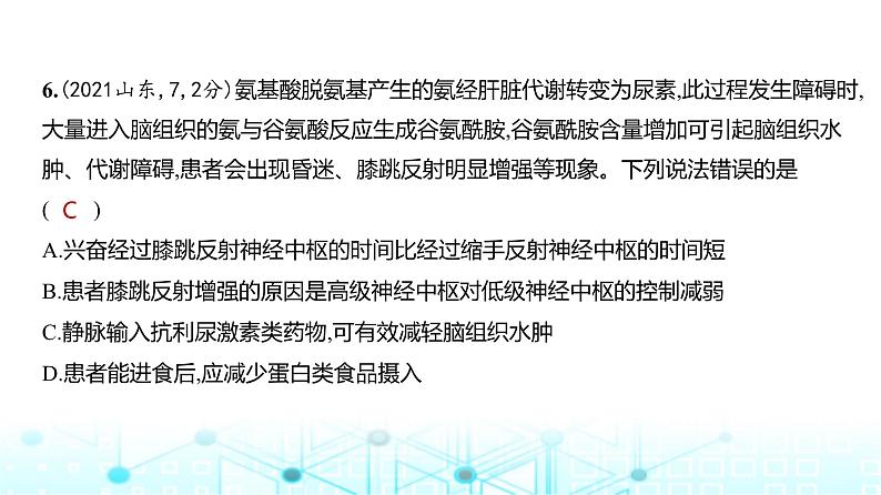 新高考生物总复习专题13神经调节练习课件第7页