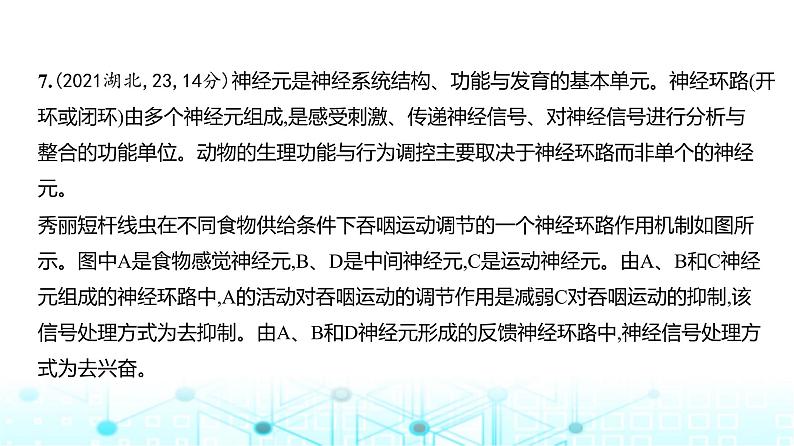 新高考生物总复习专题13神经调节练习课件第8页