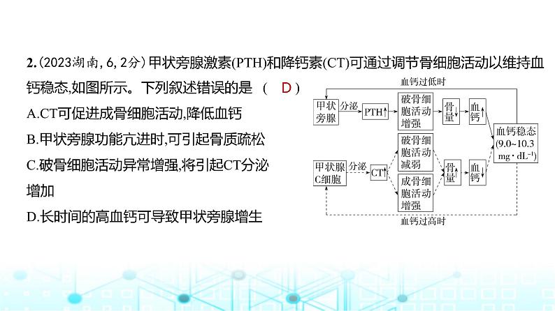 新高考生物总复习专题14体液调节练习课件第3页