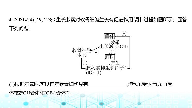 新高考生物总复习专题14体液调节练习课件第5页