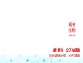新高考生物总复习必修1分子与细胞阶段检测练练习课件