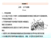 新高考生物总复习必修1分子与细胞阶段检测练练习课件