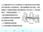 新高考生物总复习必修1分子与细胞阶段检测练练习课件