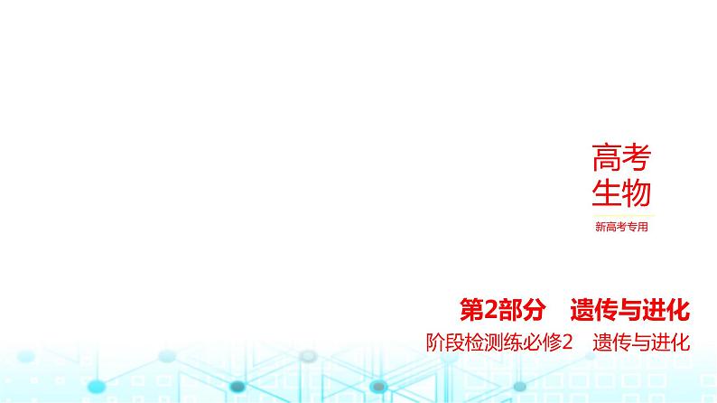 新高考生物总复习必修2遗传与进化阶段检测练练习课件第1页