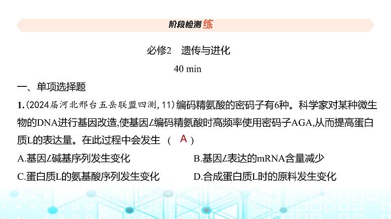 新高考生物总复习必修2遗传与进化阶段检测练练习课件第2页