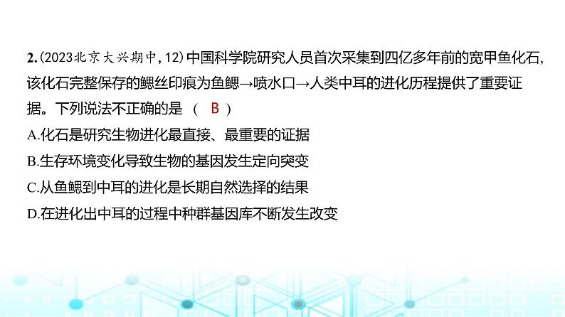 新高考生物总复习必修2遗传与进化阶段检测练练习课件第3页