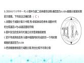 新高考生物总复习必修2遗传与进化阶段检测练练习课件