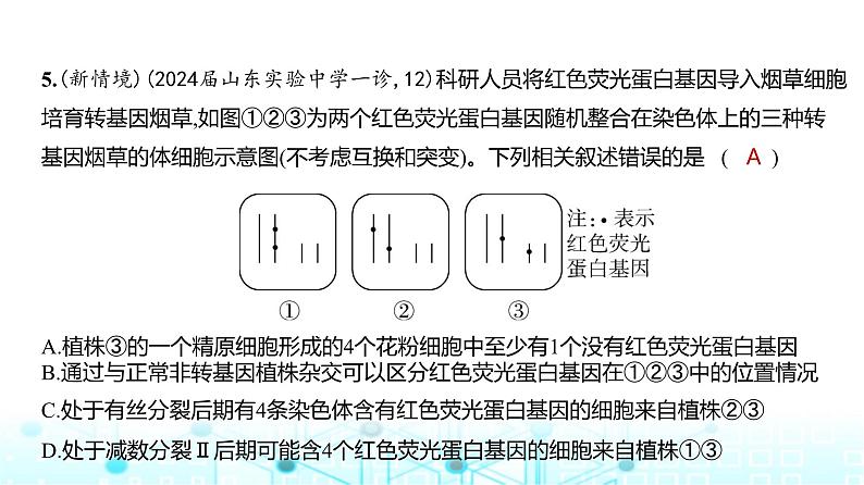 新高考生物总复习必修2遗传与进化阶段检测练练习课件第6页