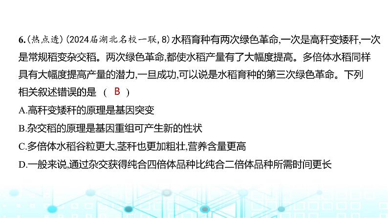 新高考生物总复习必修2遗传与进化阶段检测练练习课件第7页