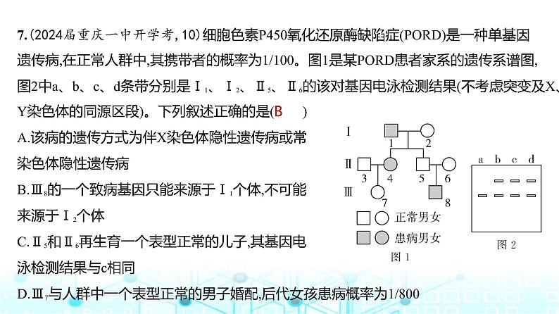 新高考生物总复习必修2遗传与进化阶段检测练练习课件第8页