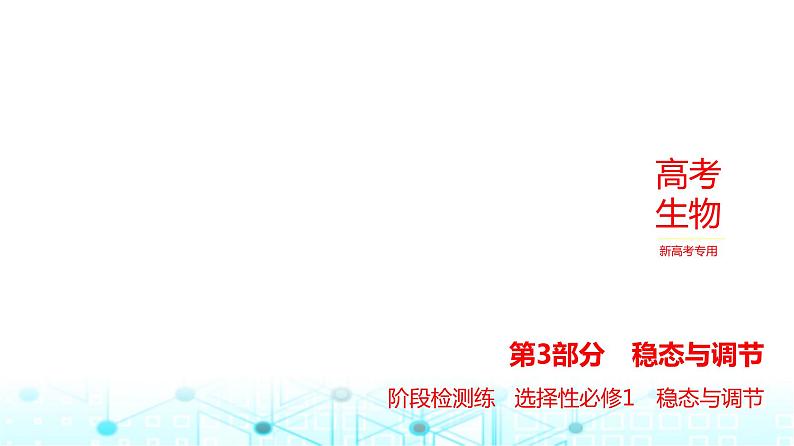 新高考生物总复习选择性必修1稳态与调节阶段检测练练习课件第1页